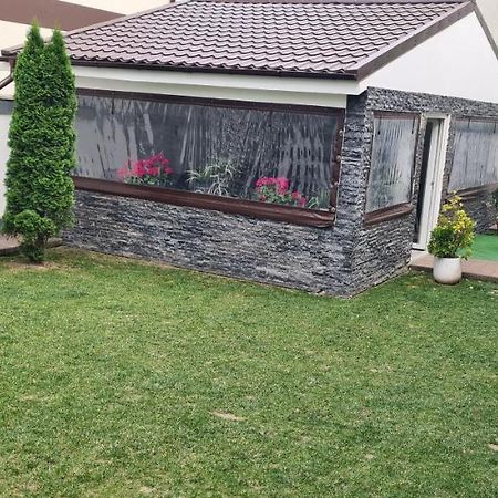 Casa Gogu Otel Navodari Dış mekan fotoğraf
